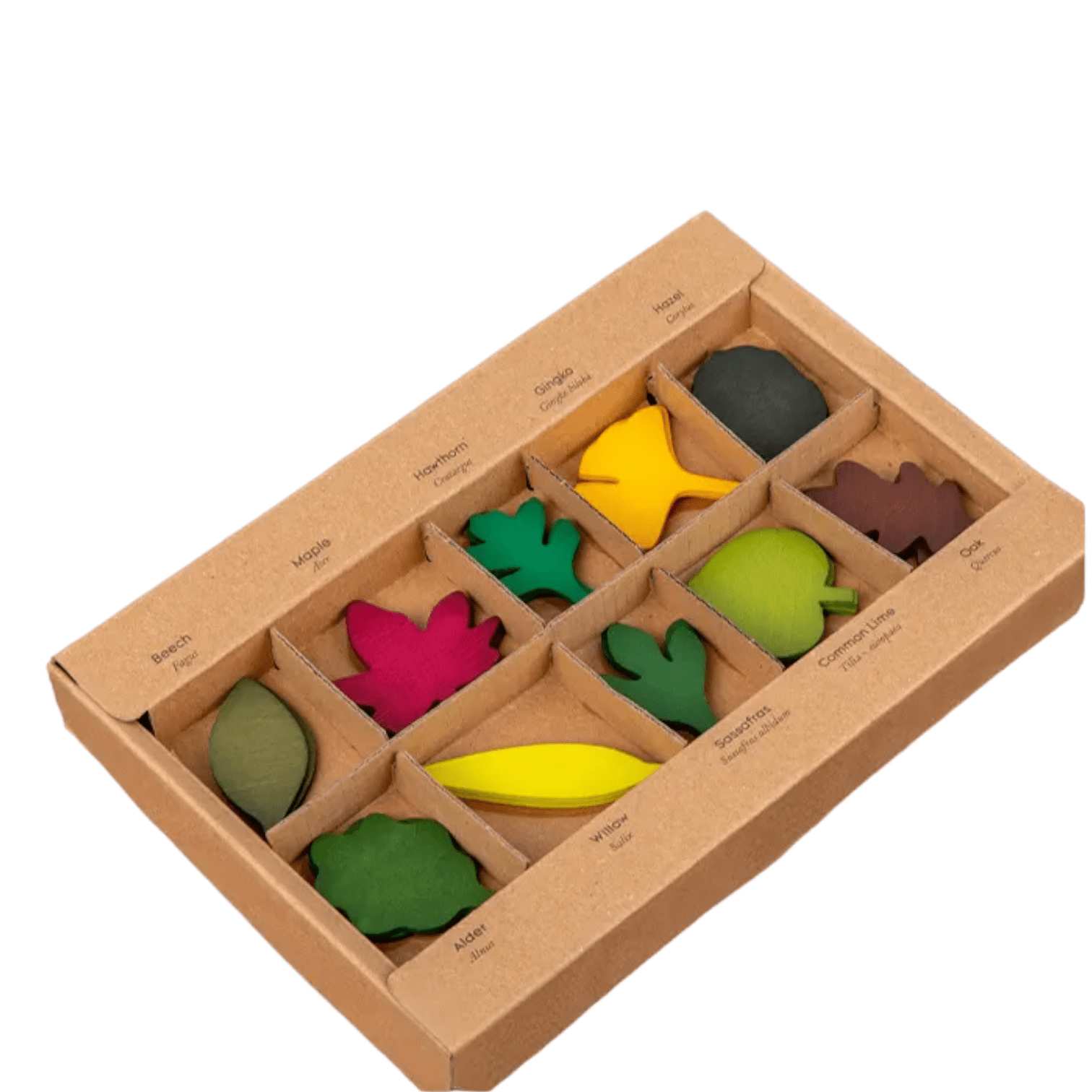 40 Pcs Woodland Leaves Wooden Forest Leaves Set - The Nurturing Nook