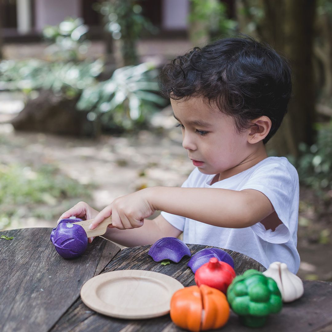 5 Colors Veggie Set - The Nurturing Nook