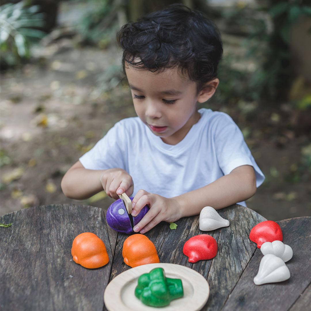 5 Colors Veggie Set - The Nurturing Nook