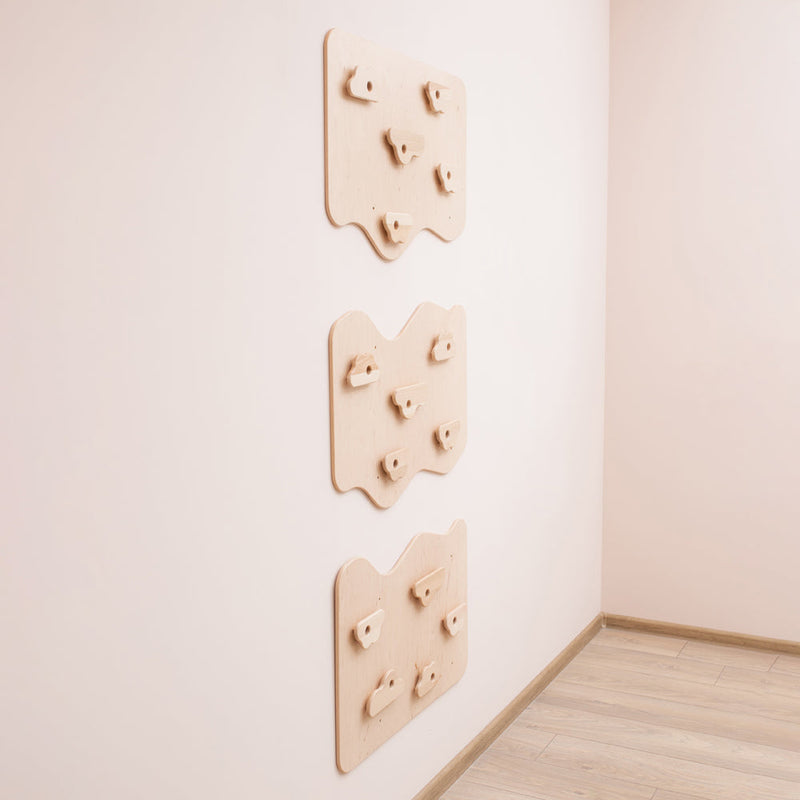 Home Climbing Wall