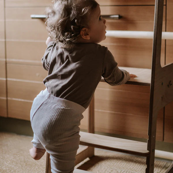 Toddler Learning Tower