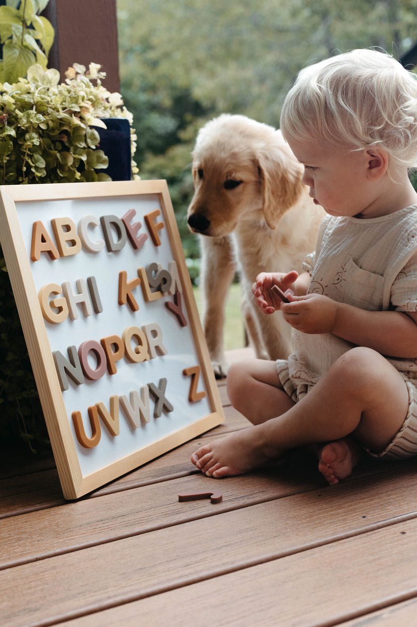 Alphabet Magnet Play Set - The Nurturing Nook