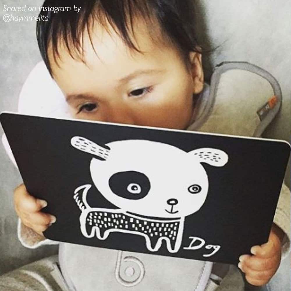Art Cards for Baby - Pets Collection - The Nurturing Nook