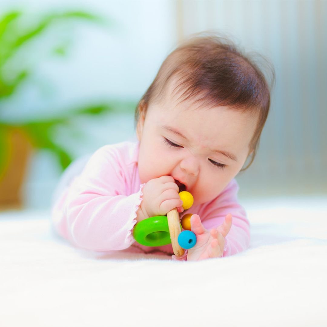 Bell Rattleㅤ - The Nurturing Nook