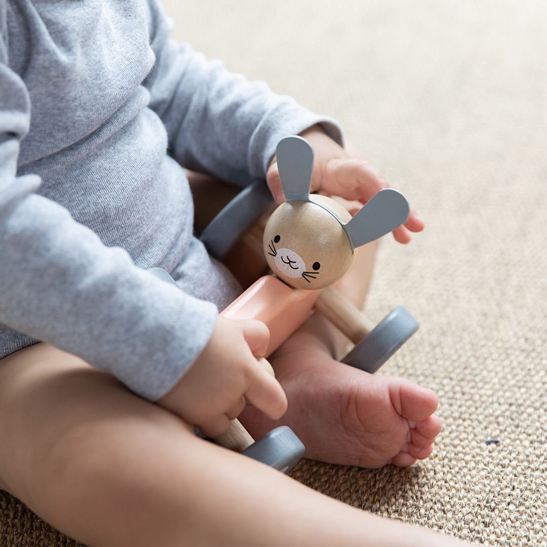 Bunny Racing Car - The Nurturing Nook