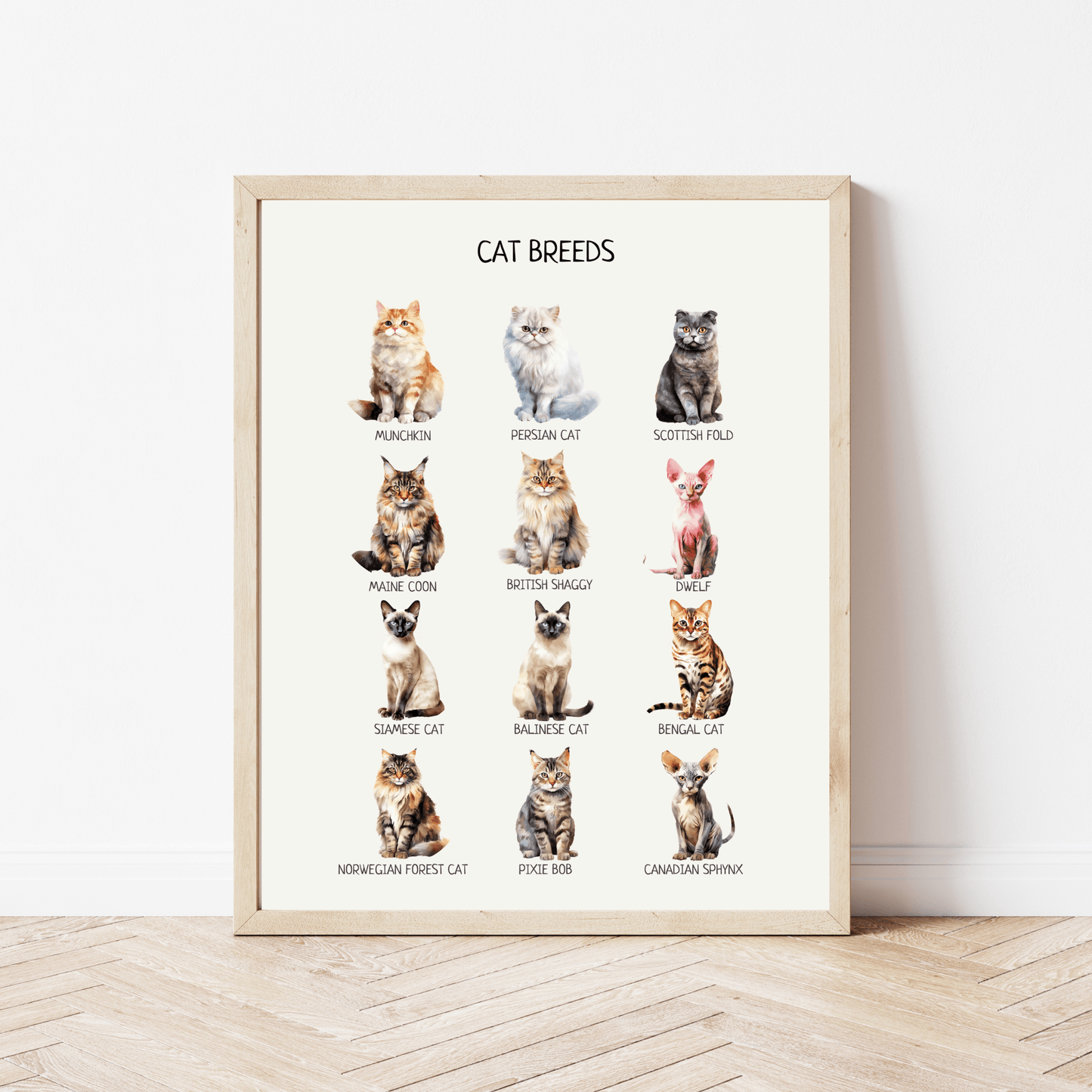 Cat Breeds Poster - Educational Montessori Wall Art for Classroom, Nursery & Kids’ Room | Digital Download - The Nurturing Nook