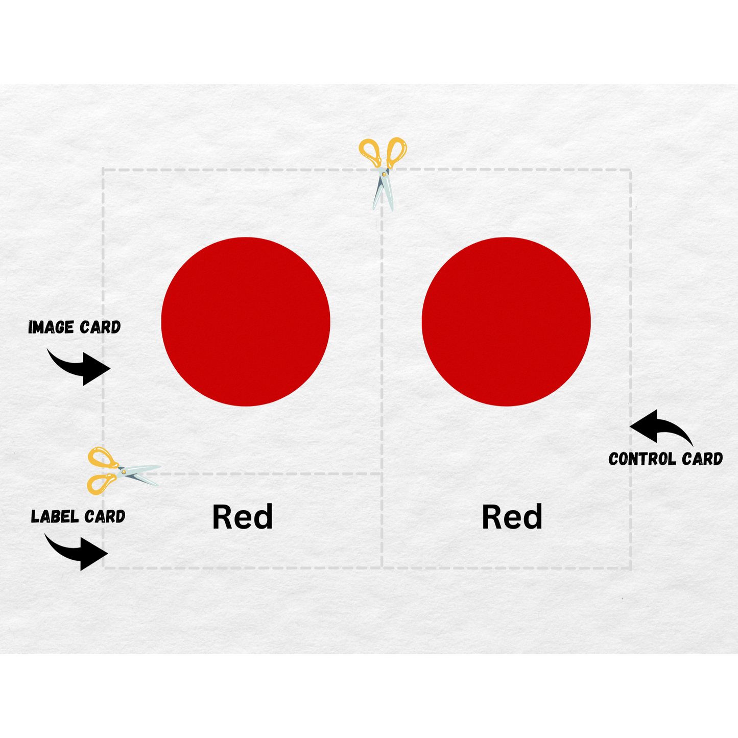 Colors Montessori 3 - Part Cards | Nomenclature Cards | Pre - Reading Printable Cards - The Nurturing Nook