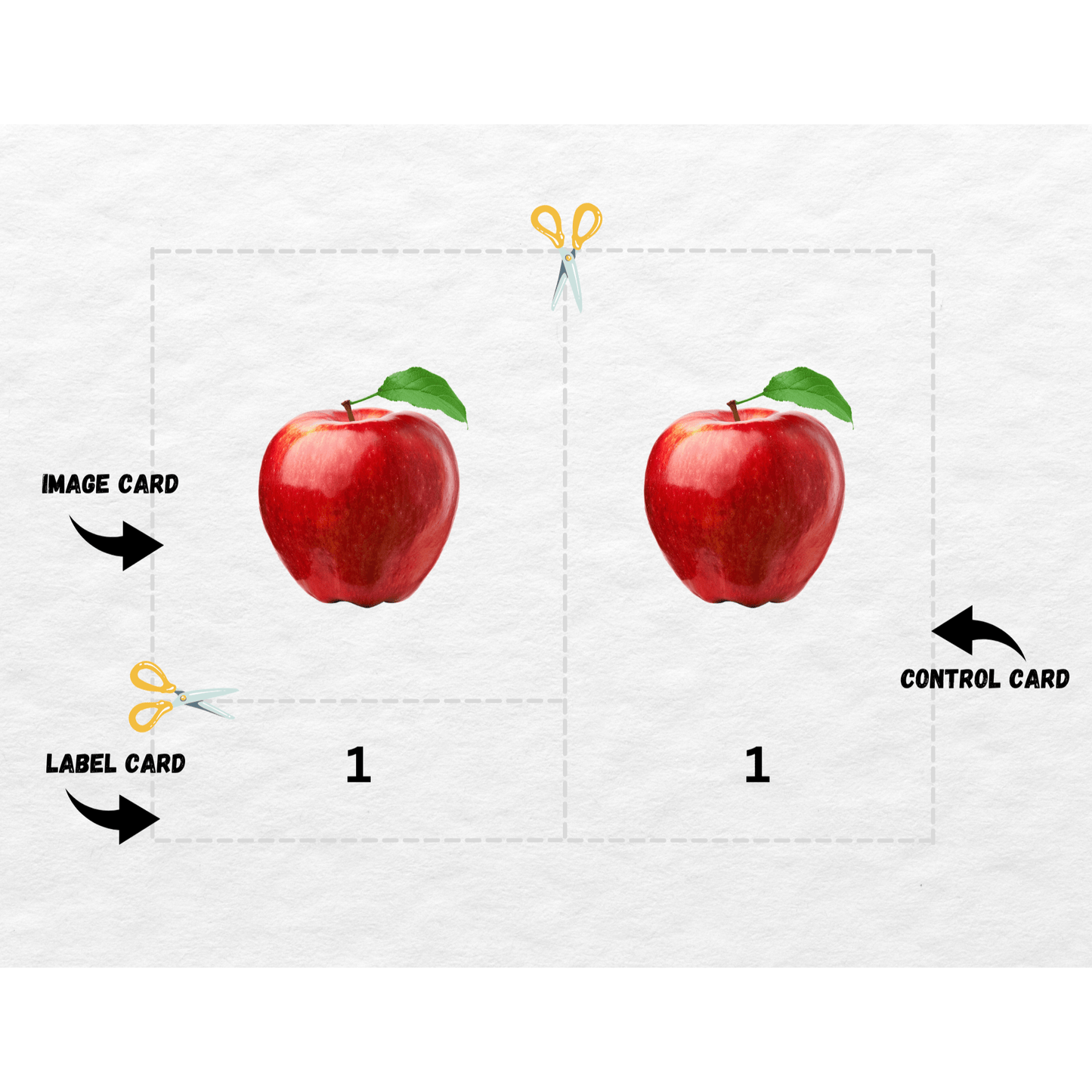 Count 1 - 10 Montessori 3 - Part Cards | Preschool Vocabulary Activity| Pre - Reading Printable Cards - The Nurturing Nook