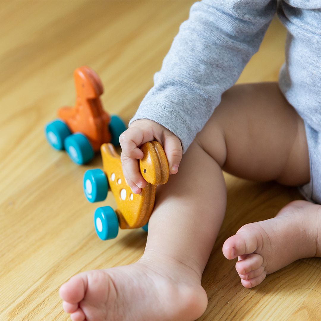 Dino Car - Stego - The Nurturing Nook