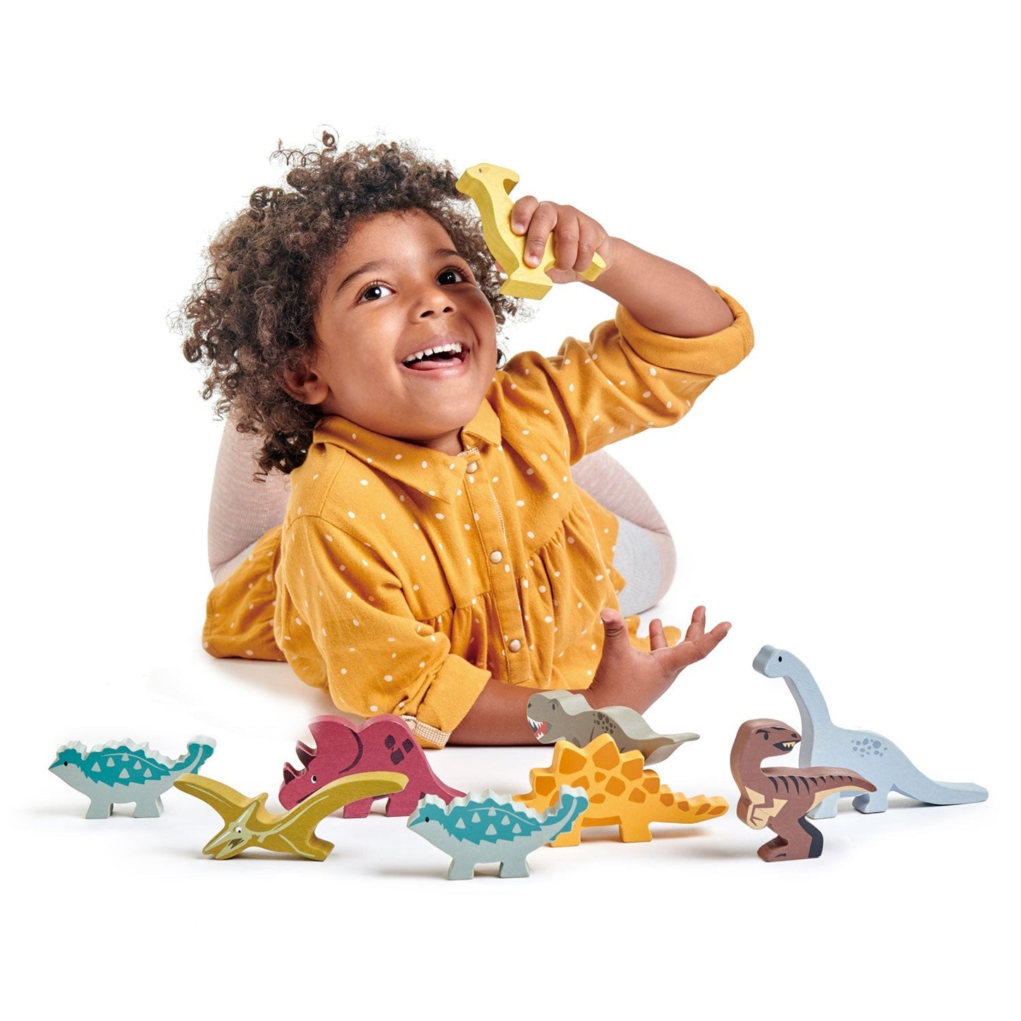 Dinosaurs - The Nurturing Nook