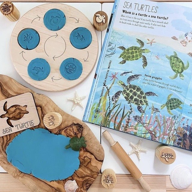 Double Sided Wooden Life Cycle Board - The Nurturing Nook