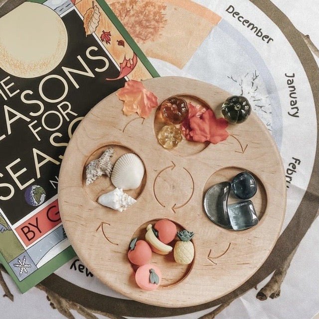 Double Sided Wooden Life Cycle Board - The Nurturing Nook