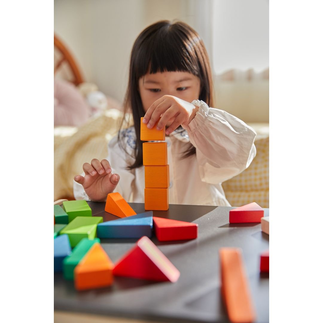 Fraction Blocks - Unit Plus - The Nurturing Nook