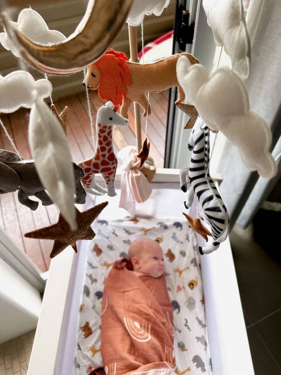 Handmade Baby Mobile | Safari - The Nurturing Nook