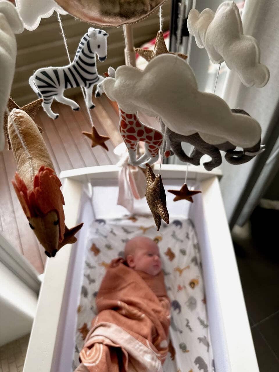 Handmade Baby Mobile | Safari - The Nurturing Nook