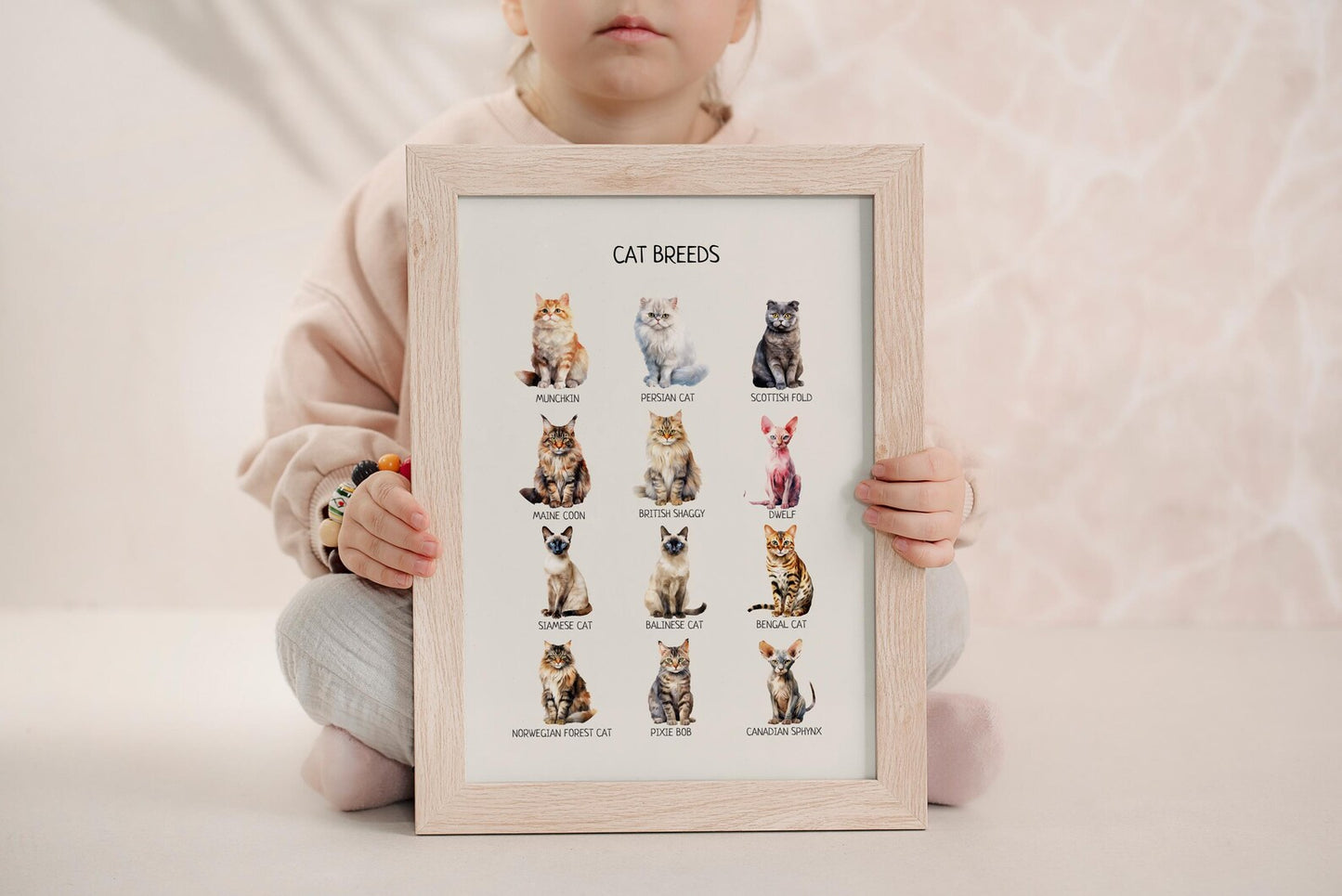 Cat Breeds Poster - Educational Montessori Wall Art for Classroom, Nursery & Kids’ Room | Digital Download