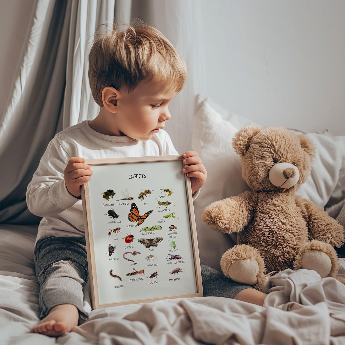 Insects Educational Poster - Montessori Printable Wall Art for Classroom, Preschool & Homeschool Learning | Digital Download - The Nurturing Nook