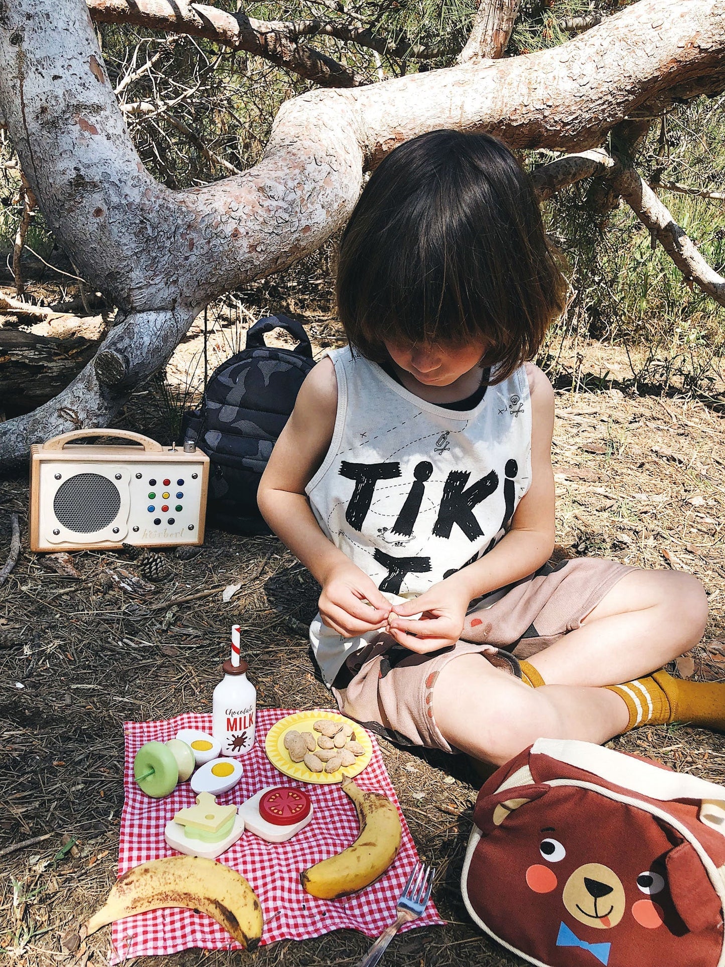 Little Bear’s Picnic - The Nurturing Nook