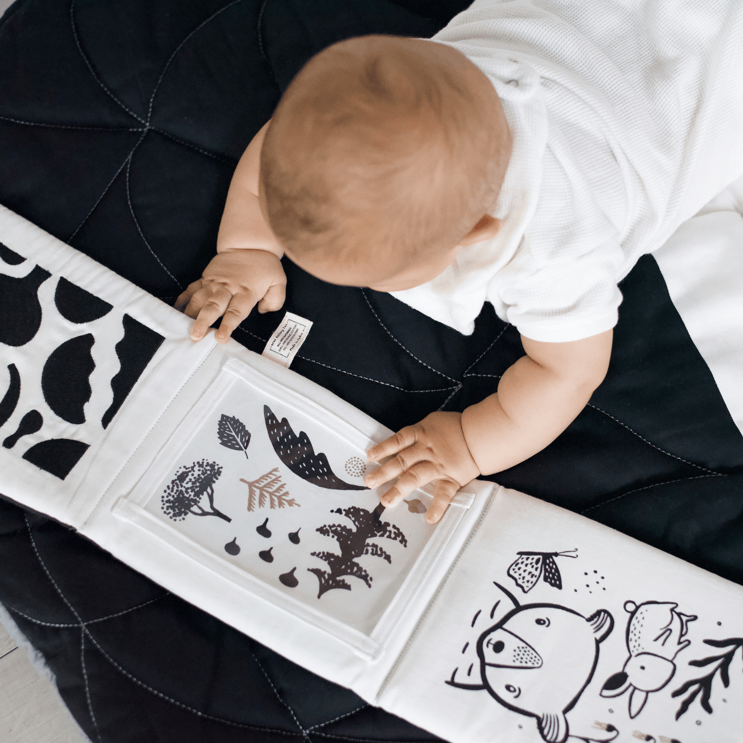 Little naturalist gift set – zebra + panda - The Nurturing Nook