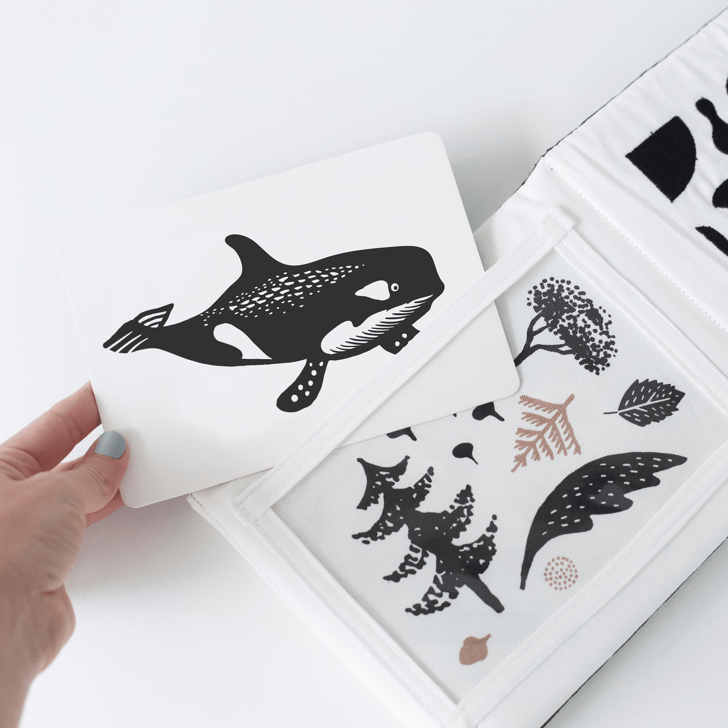 Little naturalist gift set – zebra + panda - The Nurturing Nook