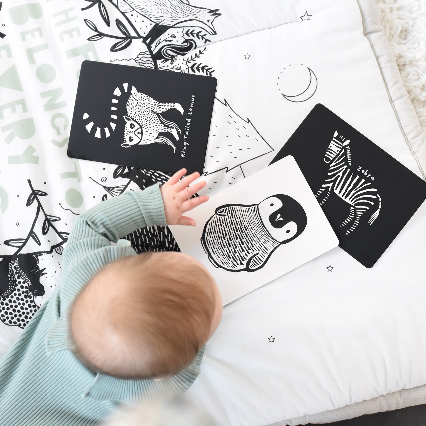 Little naturalist gift set – zebra + panda - The Nurturing Nook