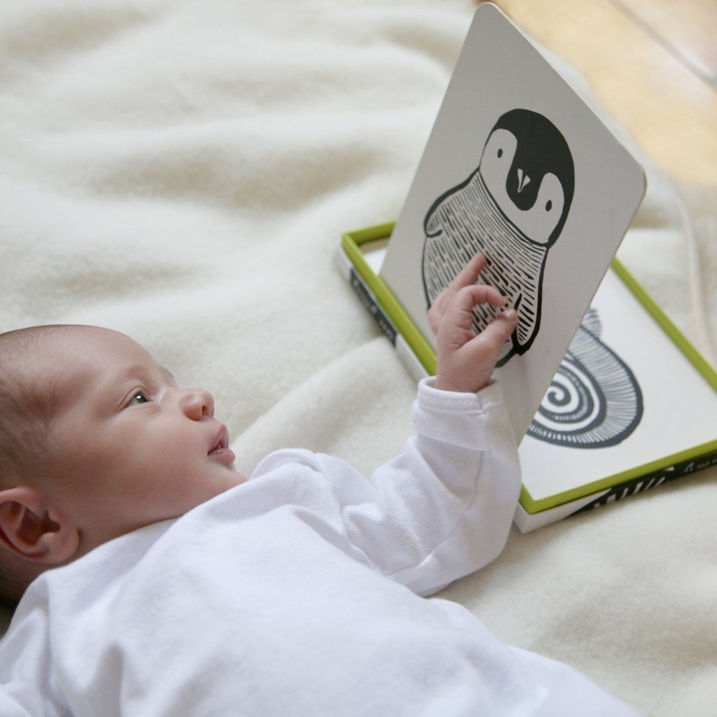 Little naturalist gift set – zebra + panda - The Nurturing Nook