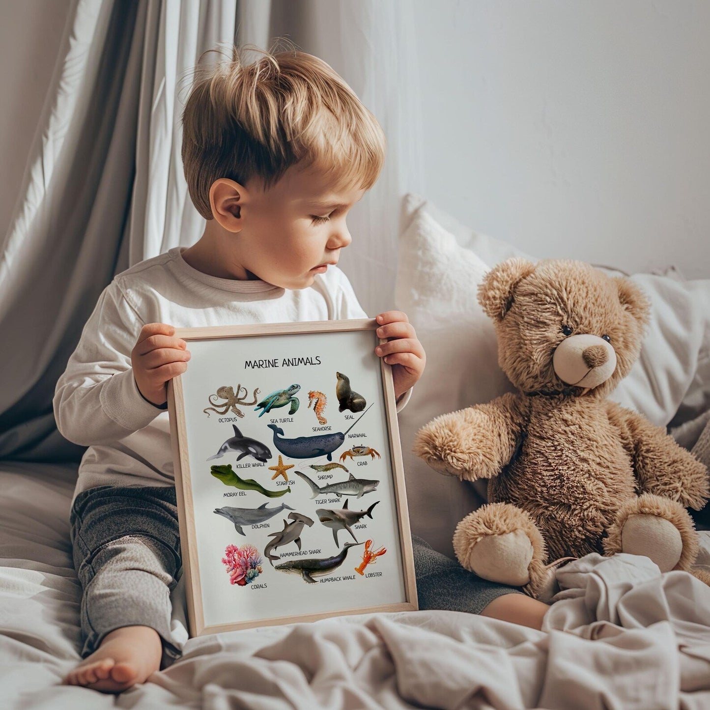 Marine Animals Poster - Under the Sea Educational Print for Classroom, Nursery & Playroom Decor | Digital Download - The Nurturing Nook