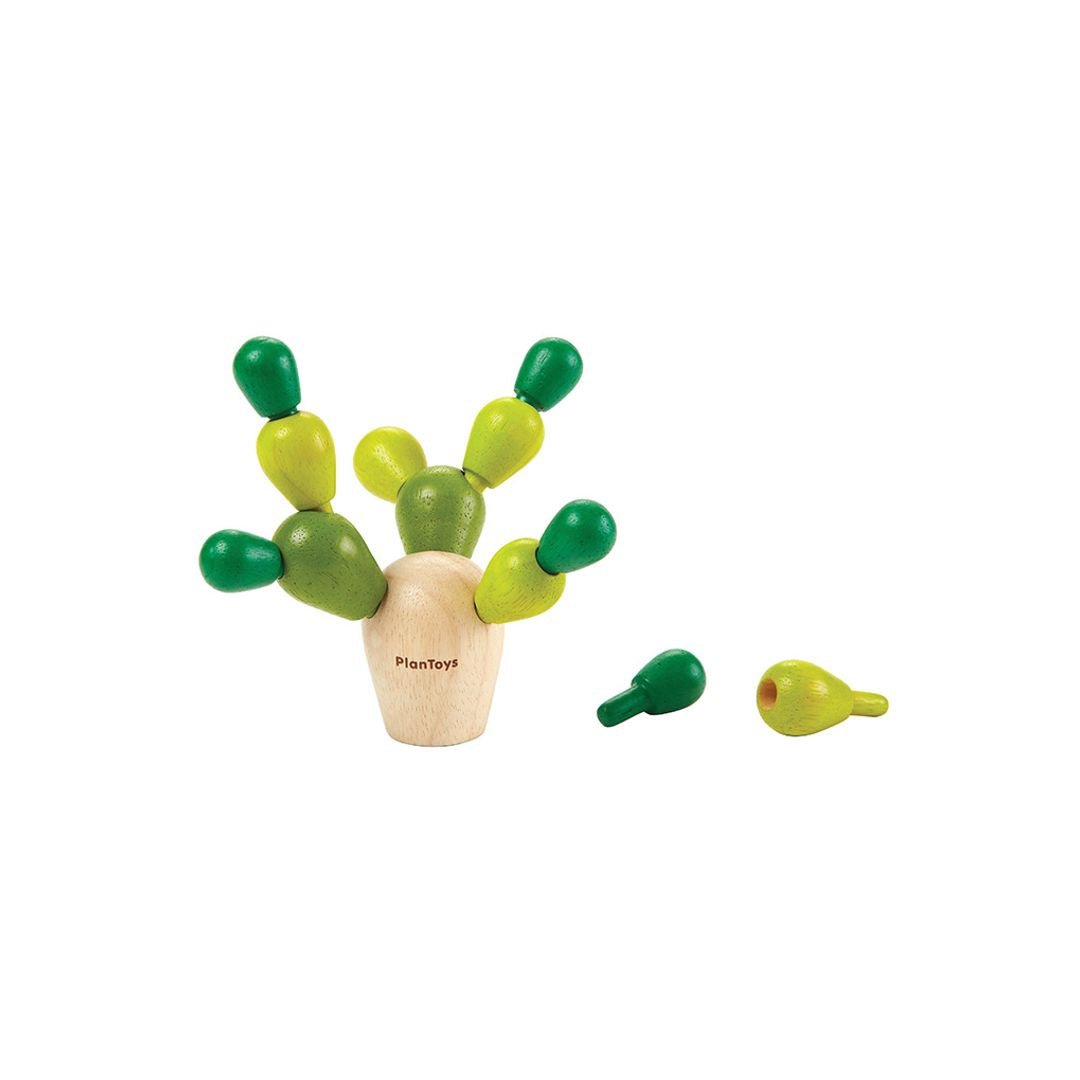 Mini Balancing Cactus - The Nurturing Nook