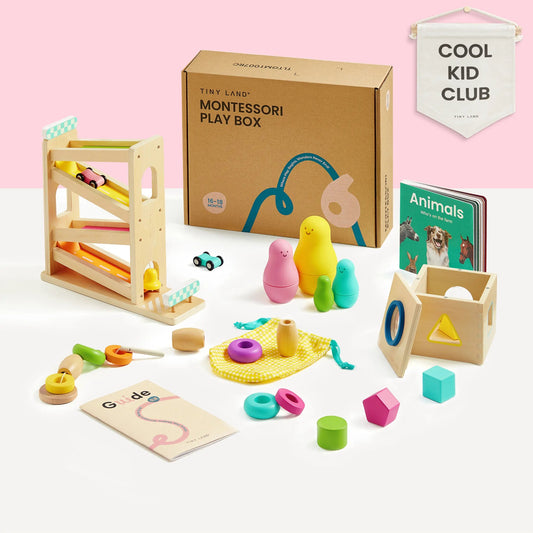 Montessori learning box – 16 to 18 months (non - subscription) - The Nurturing Nook