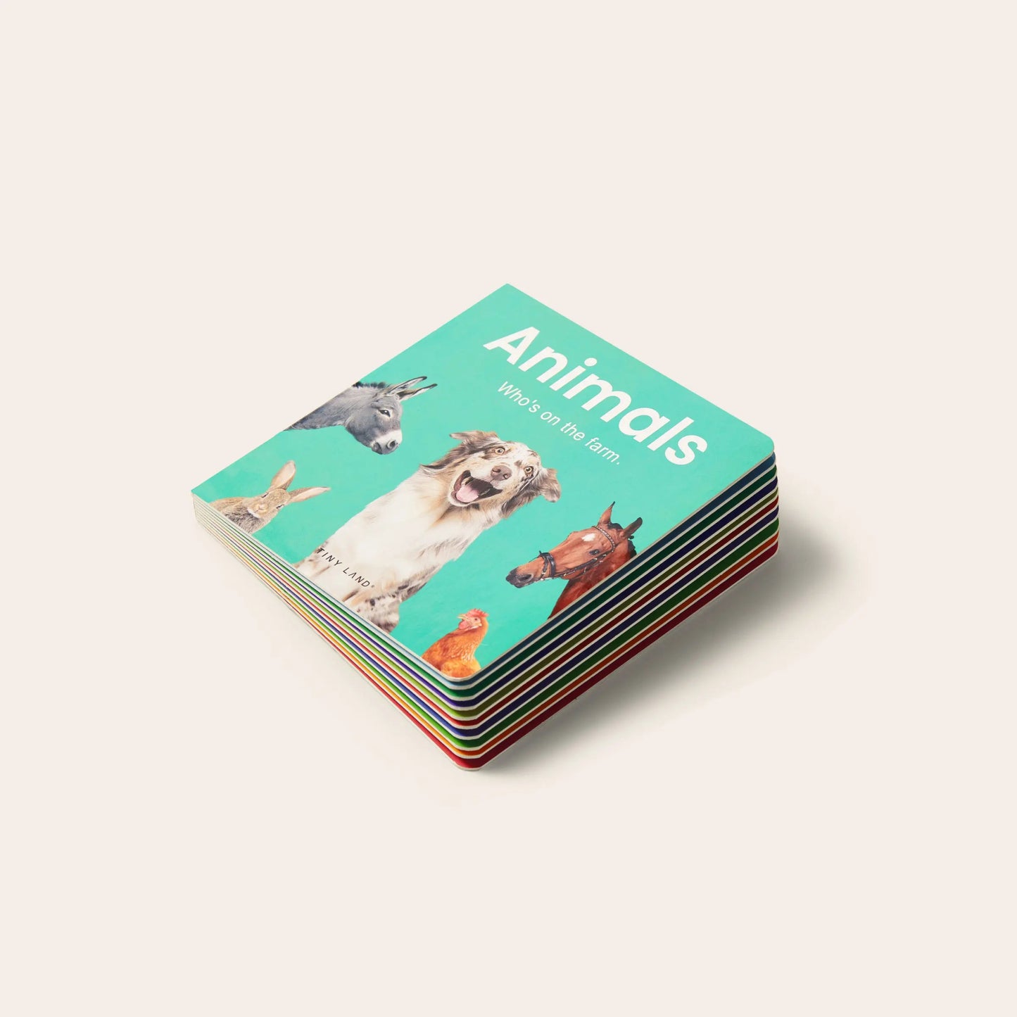 Montessori learning box – 16 to 18 months (non - subscription) - The Nurturing Nook