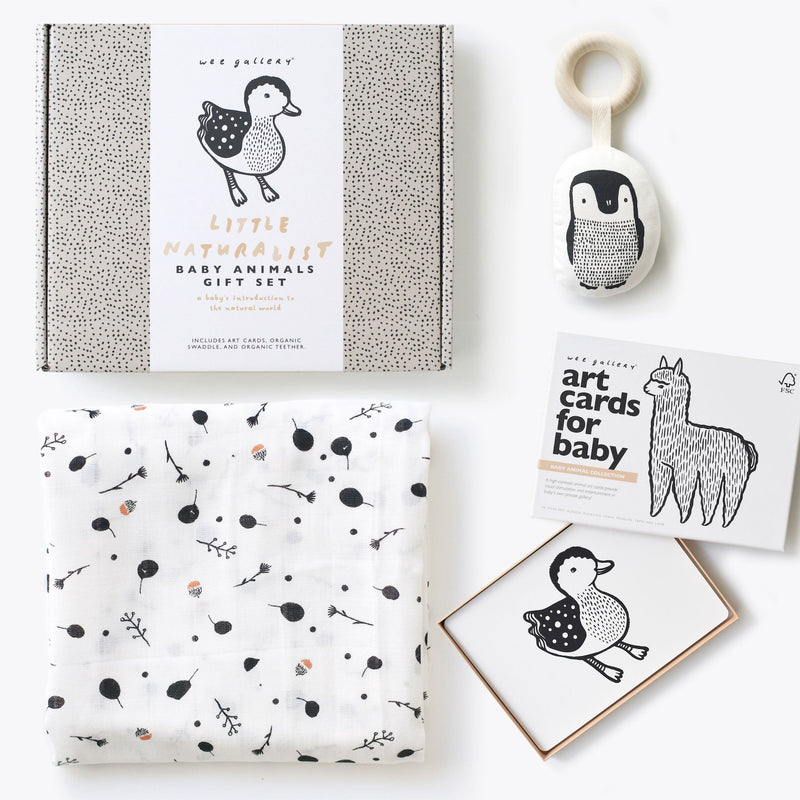 Organic newborn gift set with baby animal art cards