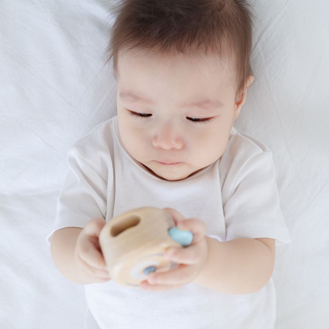 Peek - A - Boo Roller - The Nurturing Nook