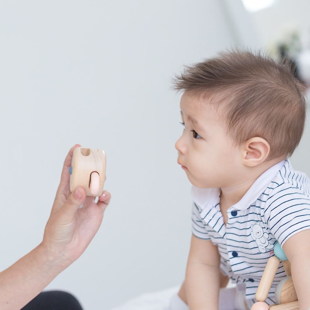 Peek - A - Boo Roller - The Nurturing Nook