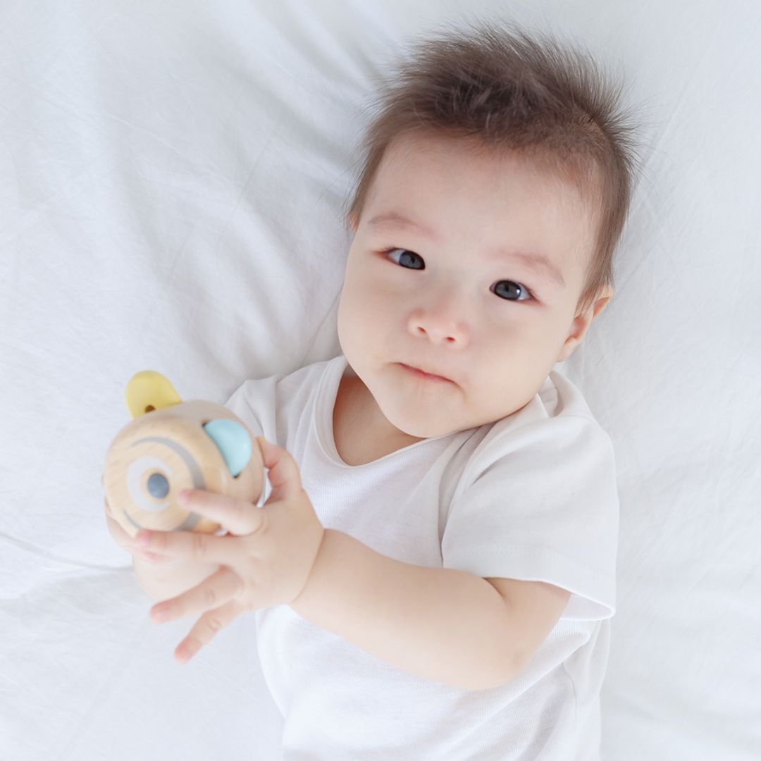 Peek - A - Boo Roller - The Nurturing Nook