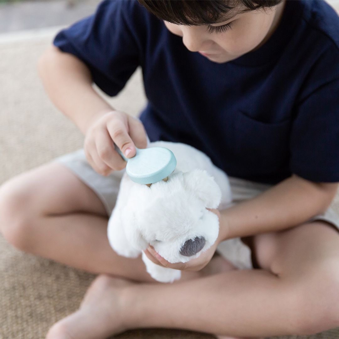 Pet Care Set - The Nurturing Nook