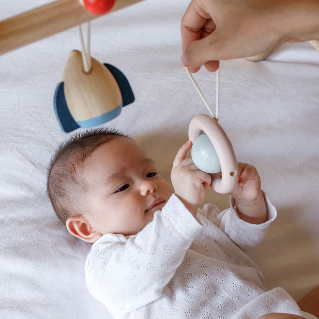 Play Gym - Orchard - The Nurturing Nook