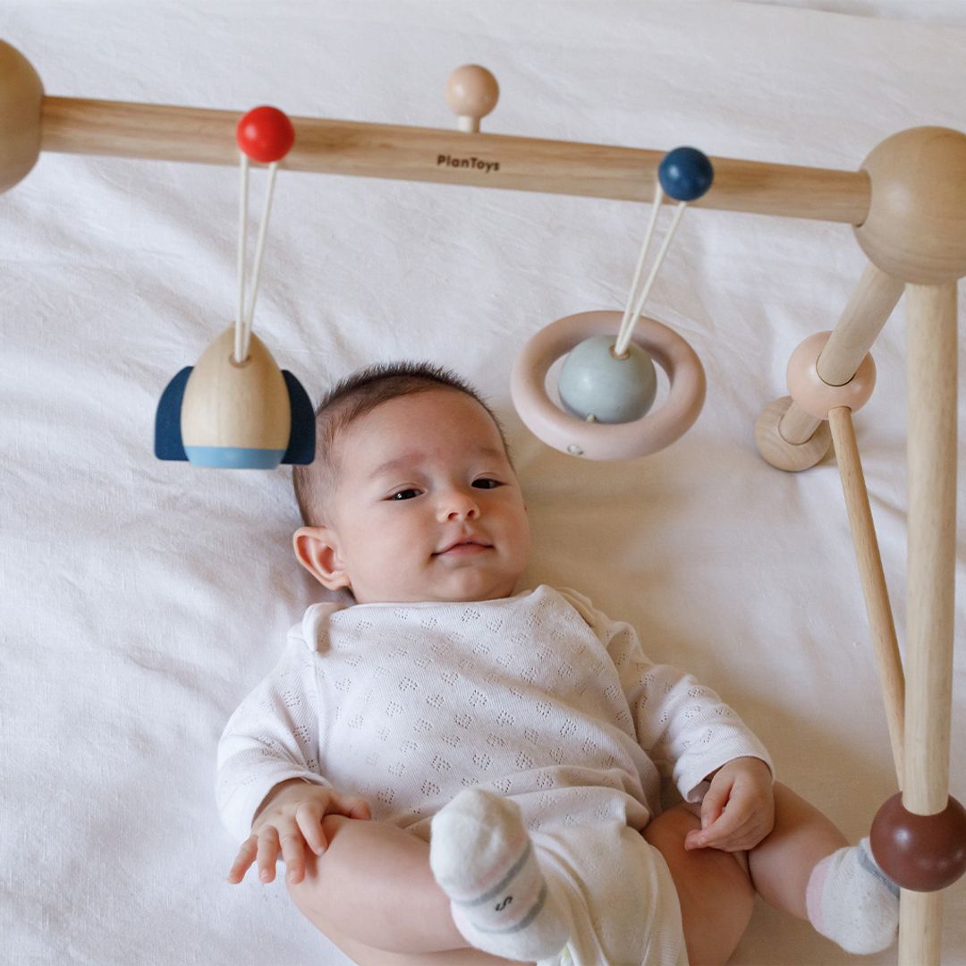 Play Gym - Orchard - The Nurturing Nook