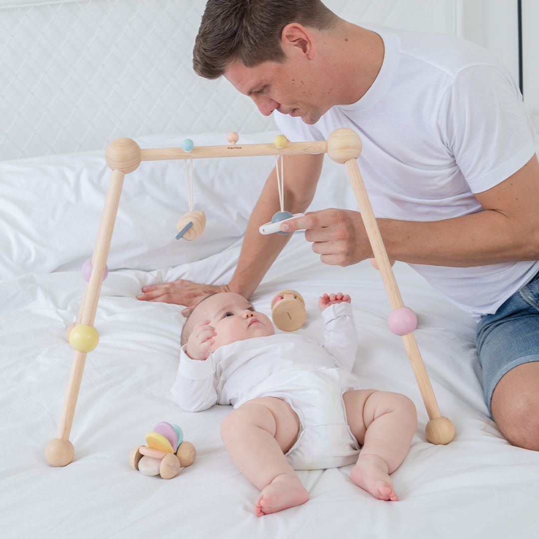 Play Gym - Pastel - The Nurturing Nook
