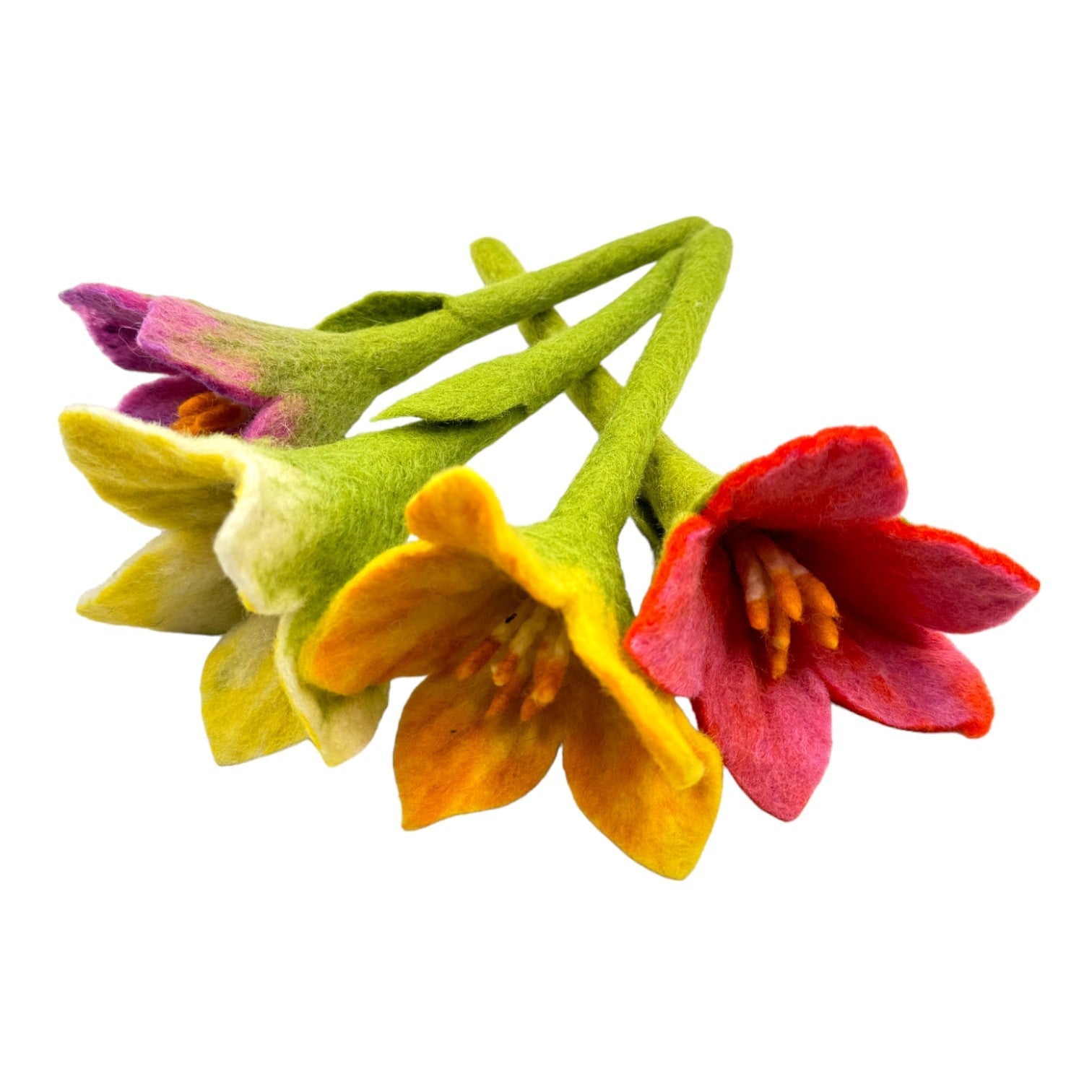 **Pre - order (Ships in 2 - 3 Weeks)**Handmade in Nepal 100% Wool Felt Foods Play Set for Pretend Cooking and Farmer's Market Play - The Nurturing Nook