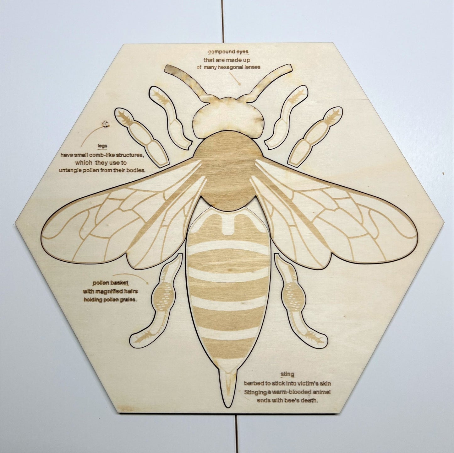 **Pre - order (Ships in 3 - 4 Weeks)**Educational Multi - Layered Wooden Puzzle - The Nurturing Nook