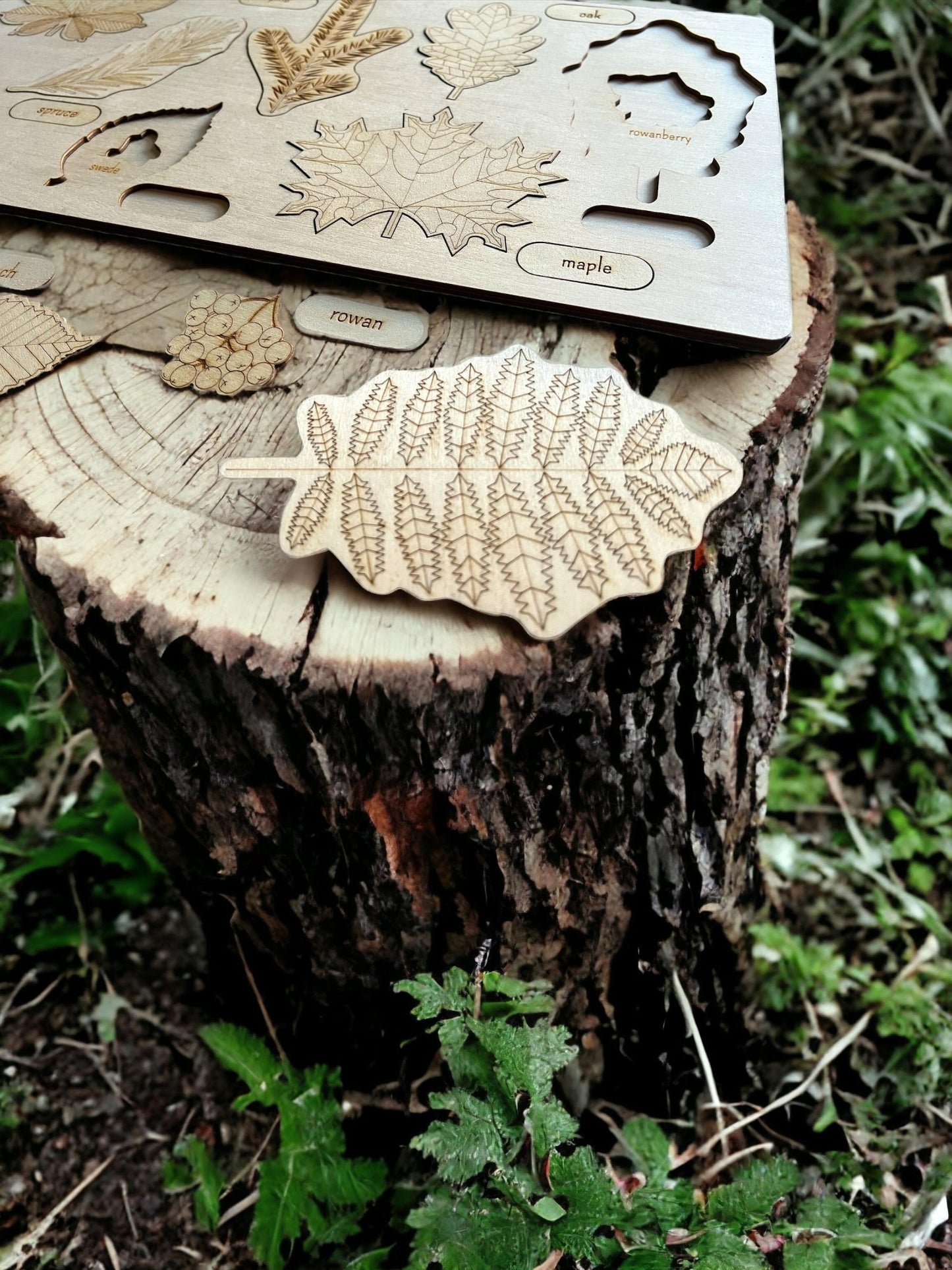 **Pre - order (Ships in 3 - 4 Weeks)**Educational Multi - Layered Wooden Puzzle - The Nurturing Nook