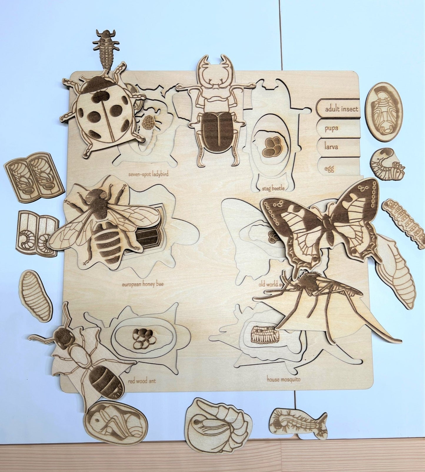 **Pre - order (Ships in 3 - 4 Weeks)**Educational Multi - Layered Wooden Puzzle - The Nurturing Nook