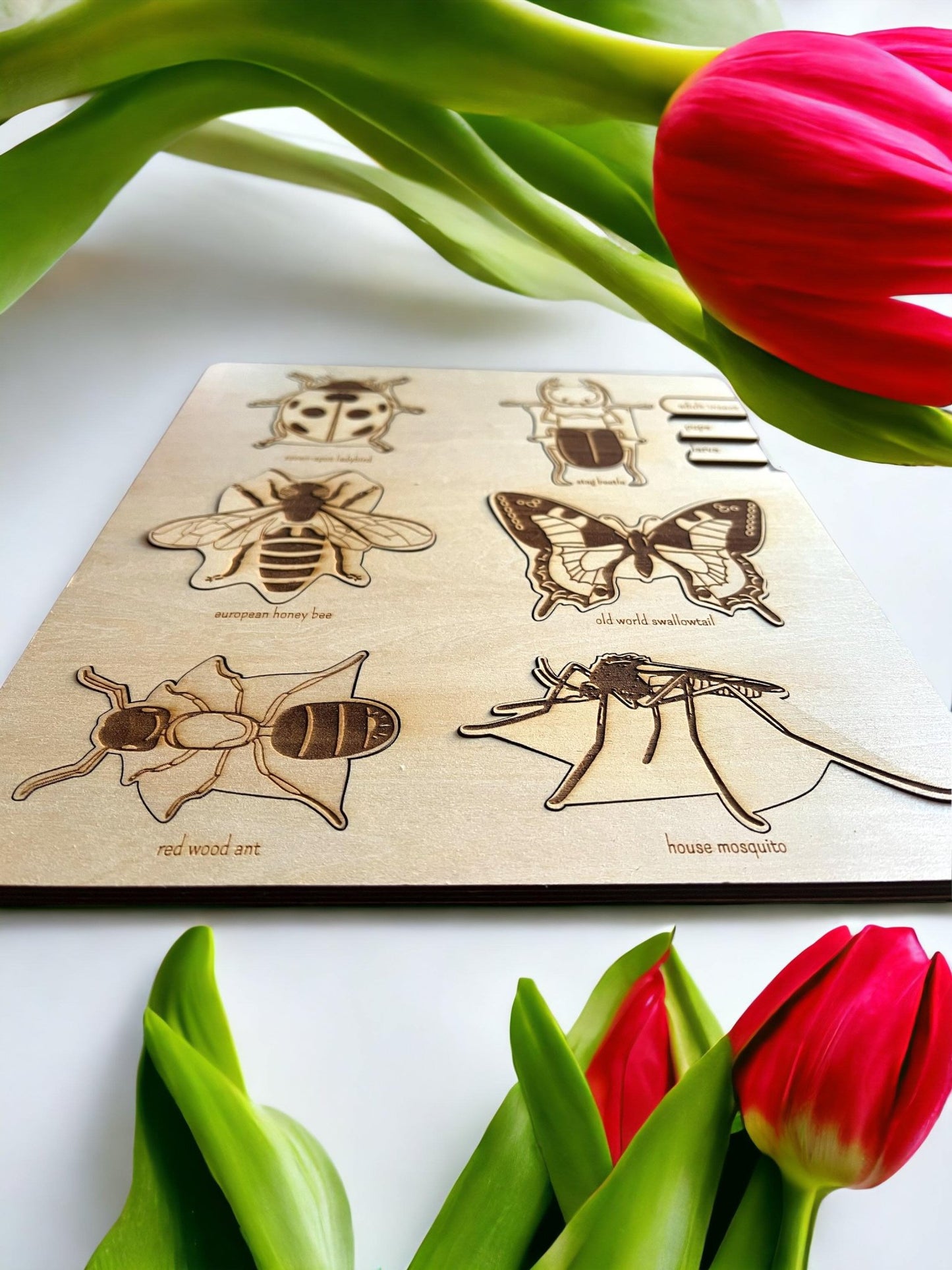 **Pre - order (Ships in 3 - 4 Weeks)**Educational Multi - Layered Wooden Puzzle - The Nurturing Nook
