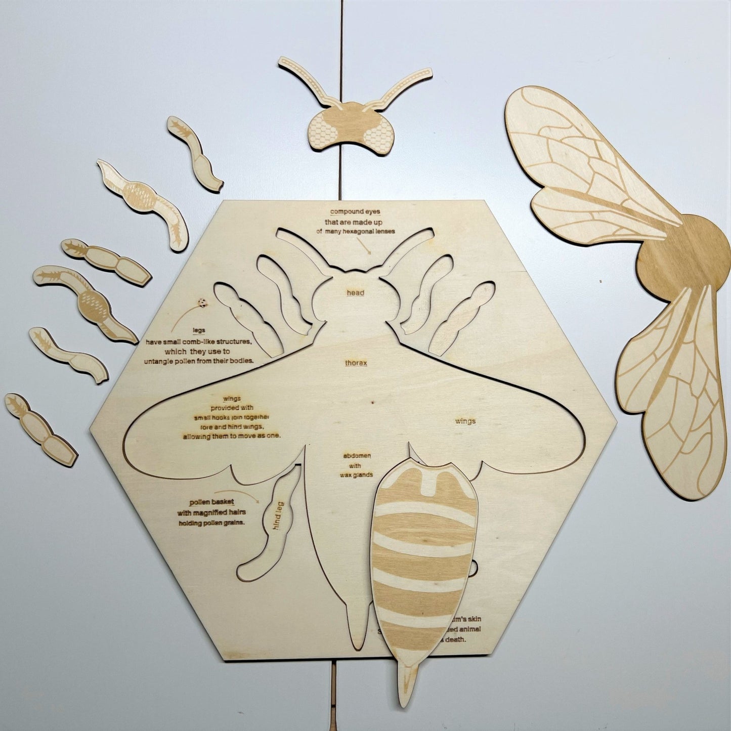 **Pre - order (Ships in 3 - 4 Weeks)**Educational Multi - Layered Wooden Puzzle - The Nurturing Nook