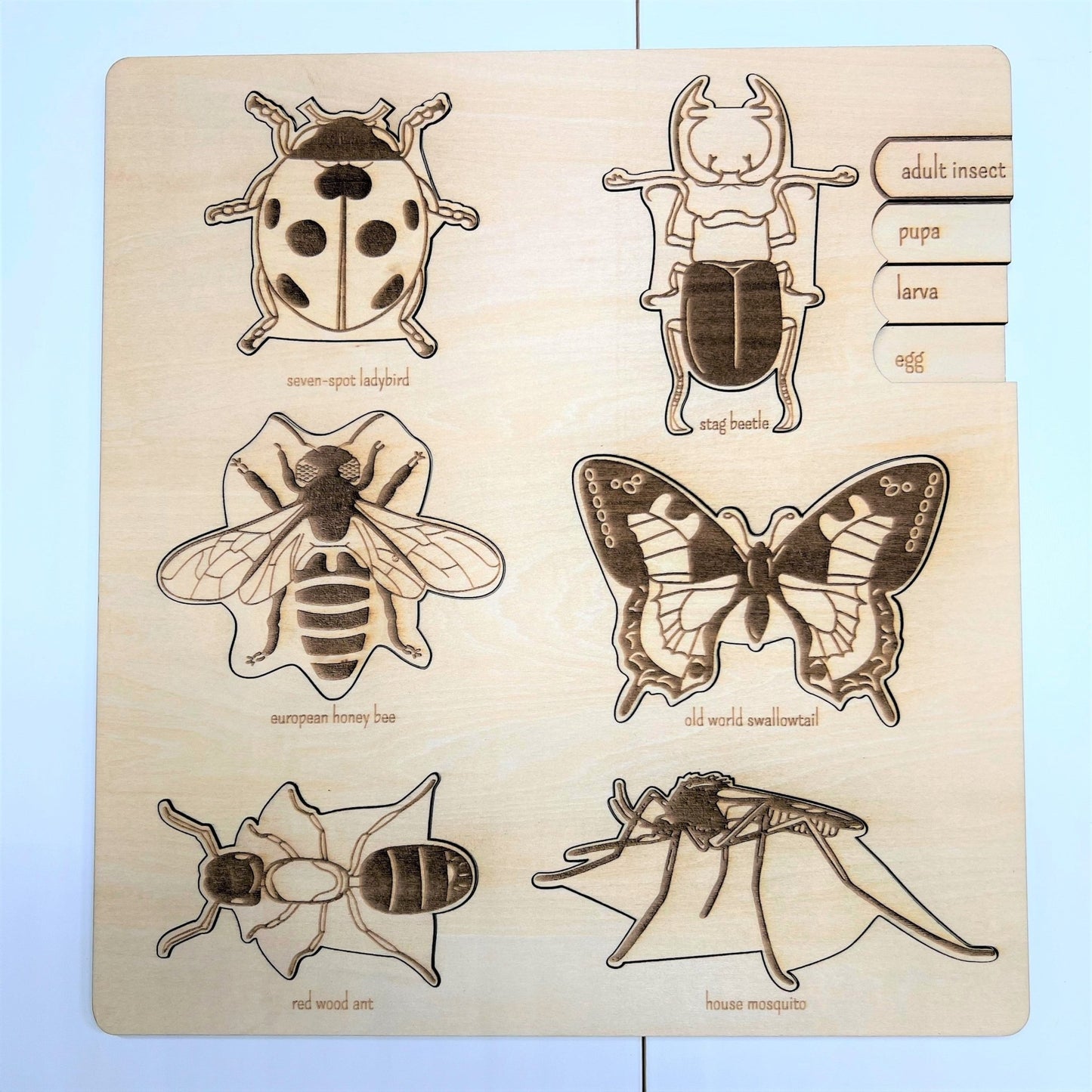 **Pre - order (Ships in 3 - 4 Weeks)**Educational Multi - Layered Wooden Puzzle - The Nurturing Nook