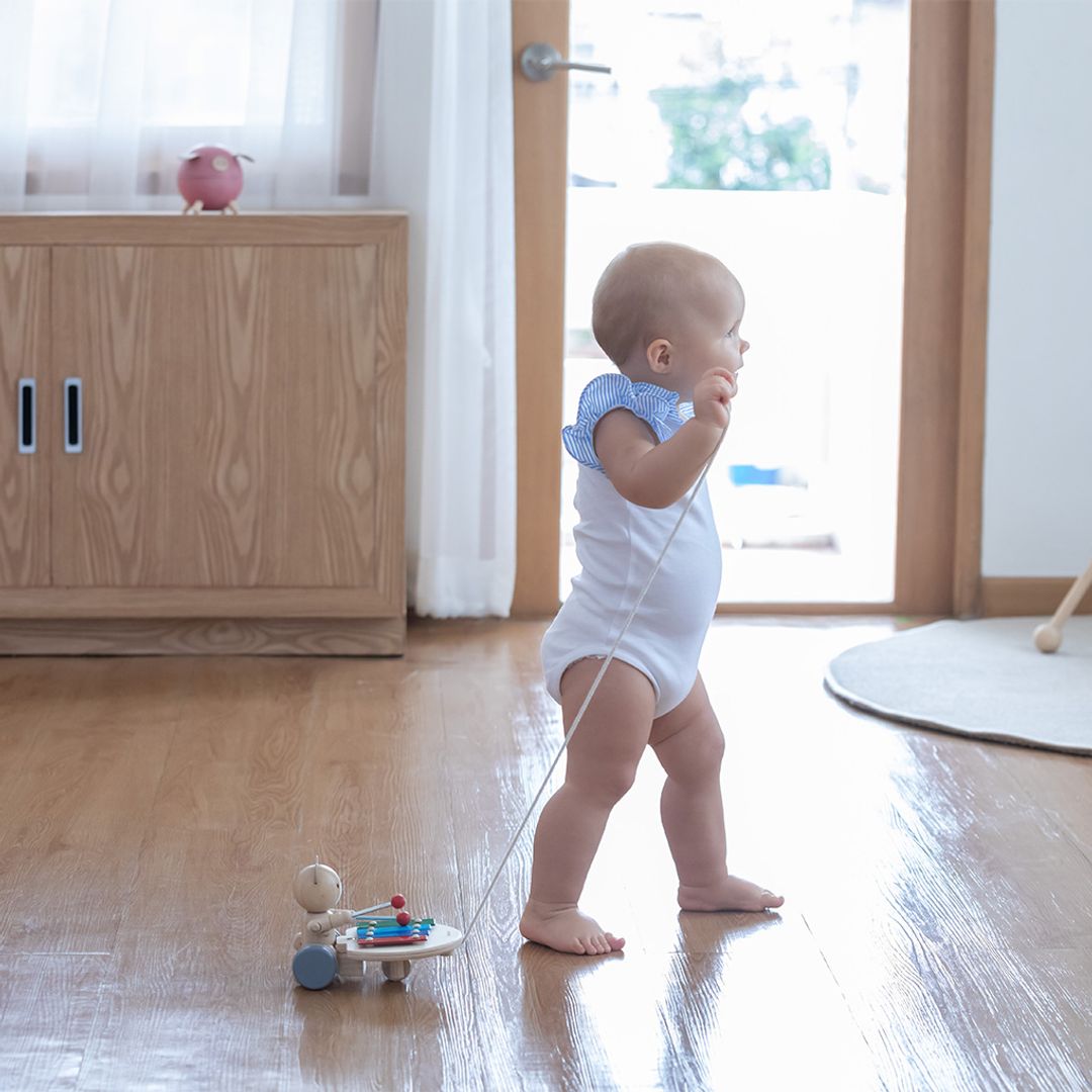 Pull Along Musical Bear - The Nurturing Nook