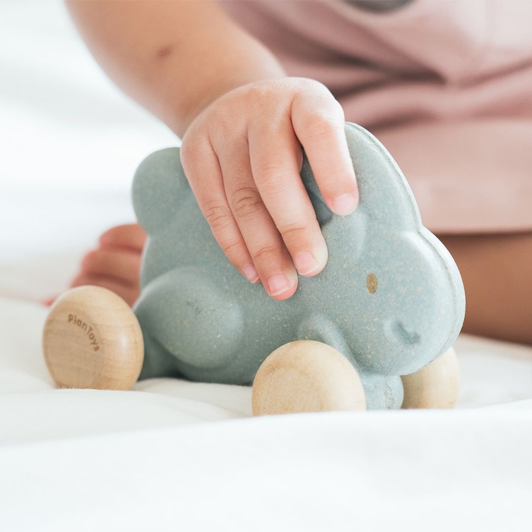 Push Along Bunny - Blue - The Nurturing Nook