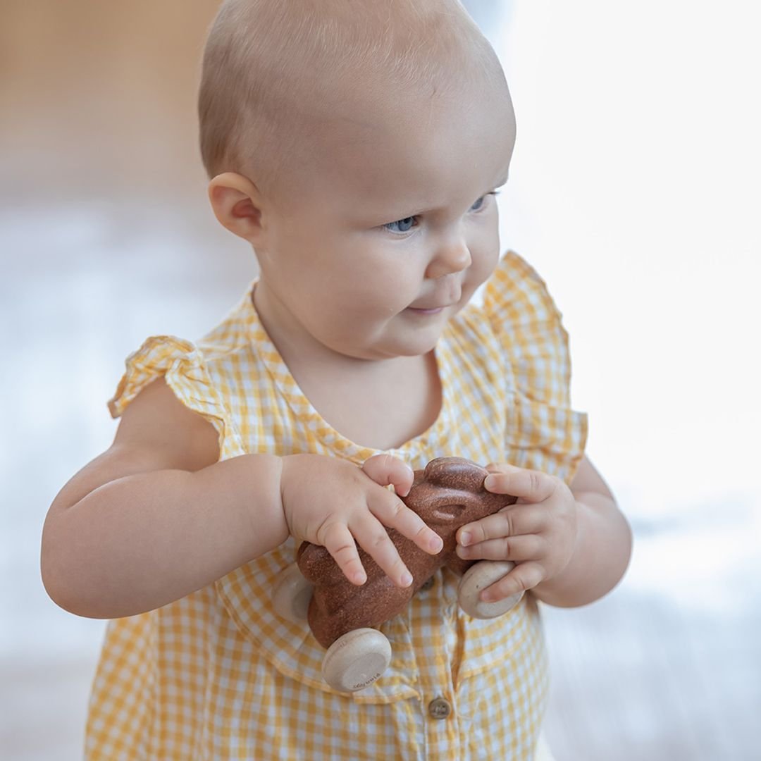 Push Along Bunny - Brown - The Nurturing Nook