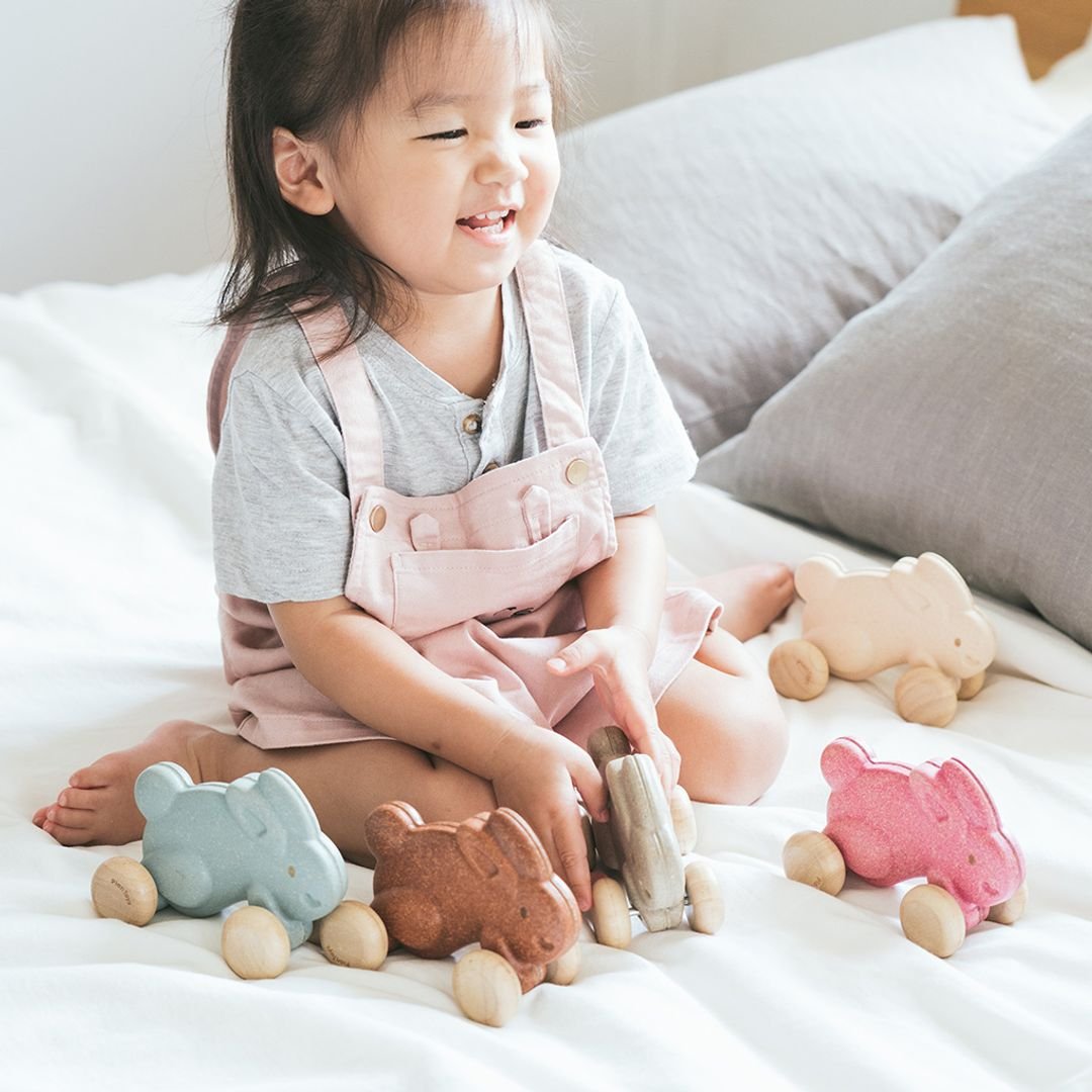 Push Along Bunny - Pink - The Nurturing Nook