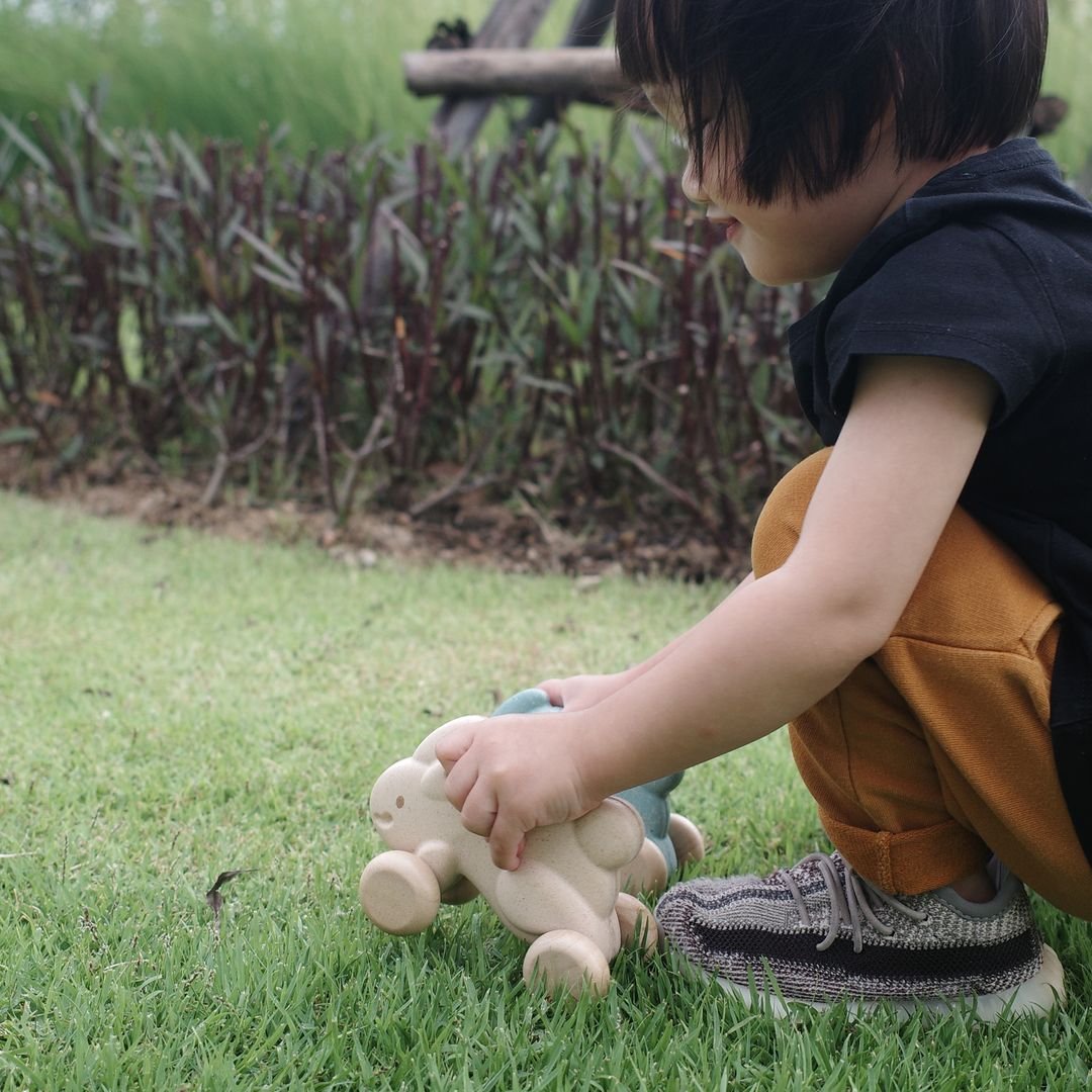 Push Along Bunny - White - The Nurturing Nook